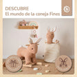 Steckentier Hase Fine - ES Infographic