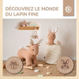 Steckentier Hase Fine - FR Infographic